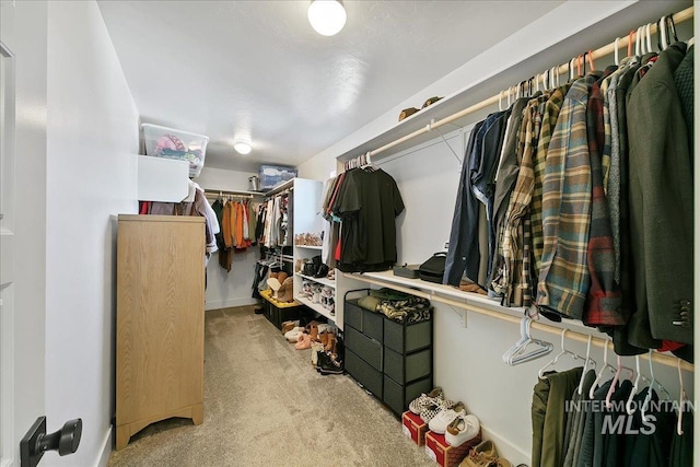 walk in closet featuring carpet