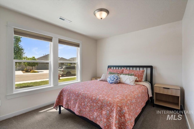 7682 W Itasco Dr, Boise, ID 83709 - carpeted bedroom with multiple windows and baseboards