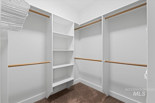 551 N Hannah Pl, Star, ID 83669 - spacious closet featuring dark colored carpet