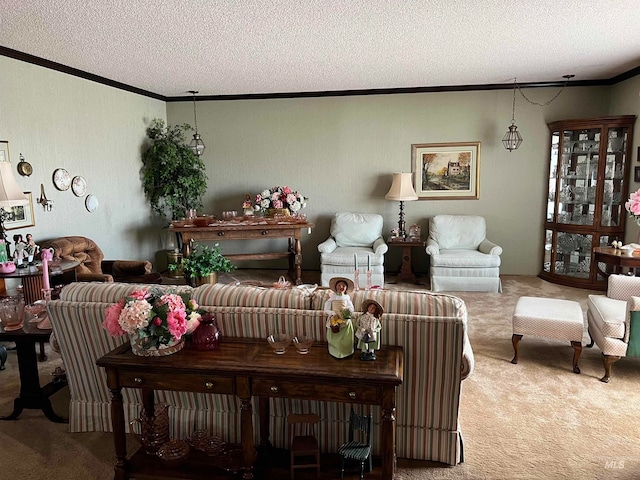 carpeted living room with a textured ceiling