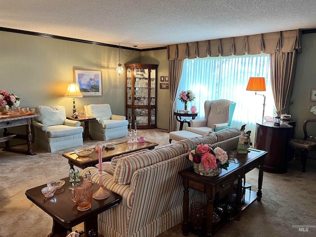 carpeted living room featuring a textured ceiling