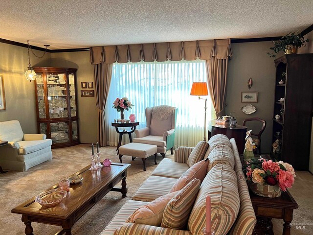 carpeted living room featuring a textured ceiling