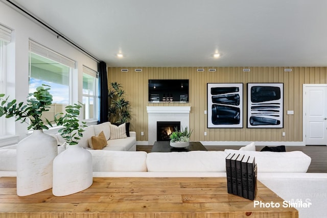 living room featuring wood walls and wood-type flooring