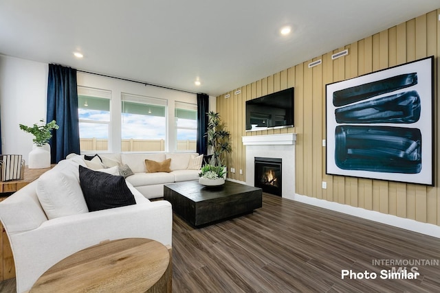 living room with a fireplace and dark hardwood / wood-style flooring