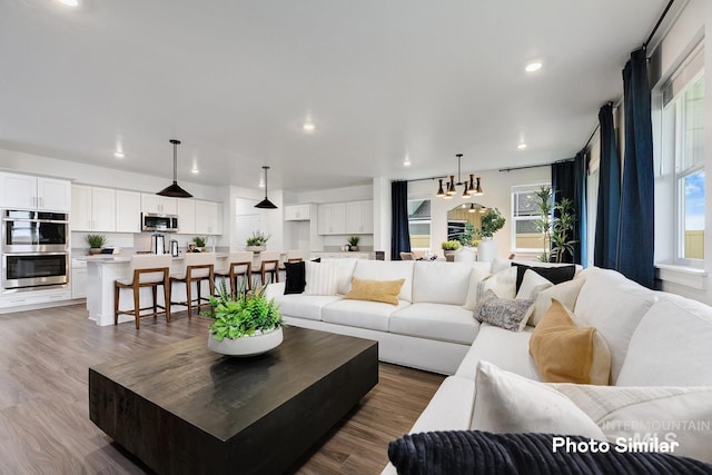 living room with wood-type flooring and plenty of natural light