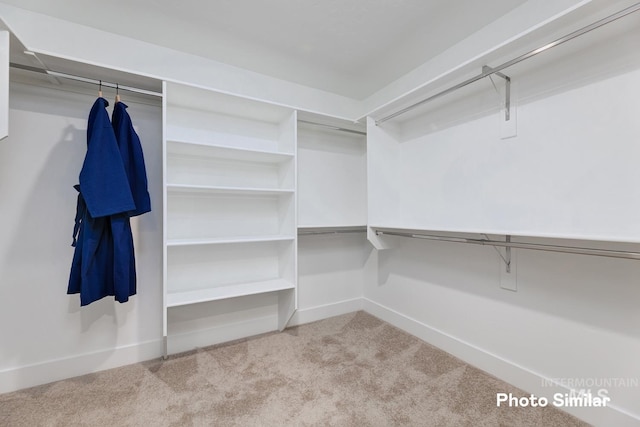 spacious closet with light carpet