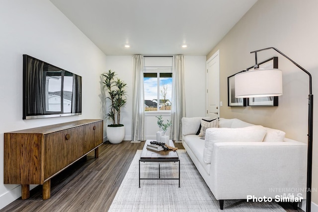 living room featuring dark hardwood / wood-style flooring