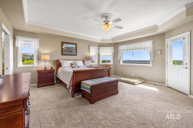 10395 Willis Rd, Middleton, ID 83644 - carpeted bedroom with a tray ceiling, ornamental molding, and multiple windows
