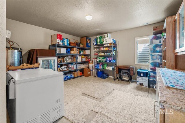 10395 Willis Rd, Middleton, ID 83644 - storage area with water heater