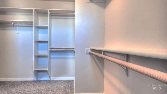 spacious closet with carpet