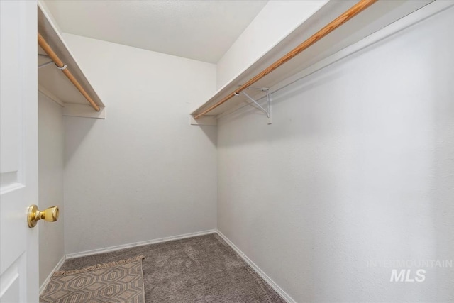 1600 Peregrine, Mountain Home, ID 83647 - walk in closet with carpet