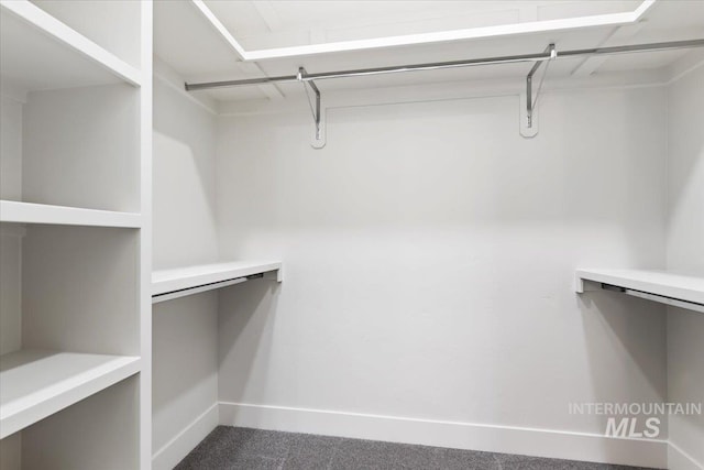 spacious closet featuring dark carpet