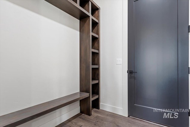 walk in closet featuring wood finished floors