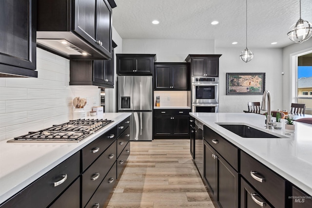 18279 N Tulip Ave, Nampa, ID 83687 - kitchen featuring light countertops, stainless steel appliances, a sink, and light wood-style flooring
