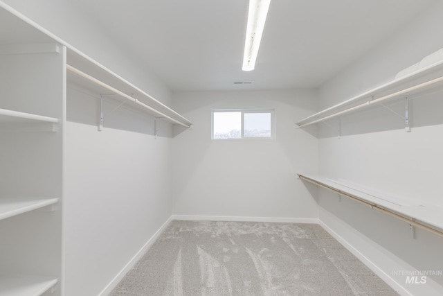 walk in closet featuring carpet and visible vents