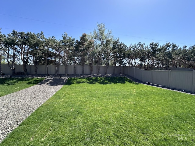 6303 W Stavros Dr, Meridian, ID 83646 - view of yard