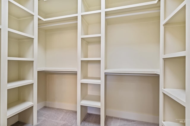 5990 W View Dr, Meridian, ID 83642 - walk in closet with carpet