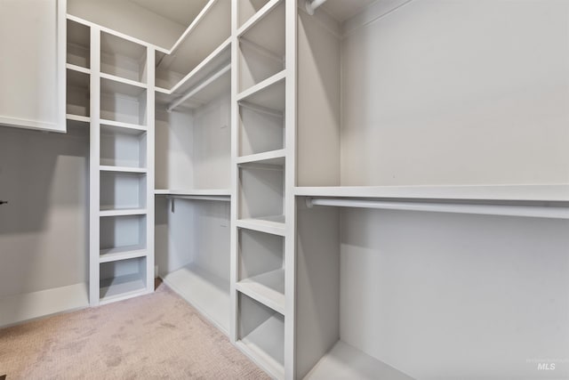 5990 W View Dr, Meridian, ID 83642 - spacious closet with carpet