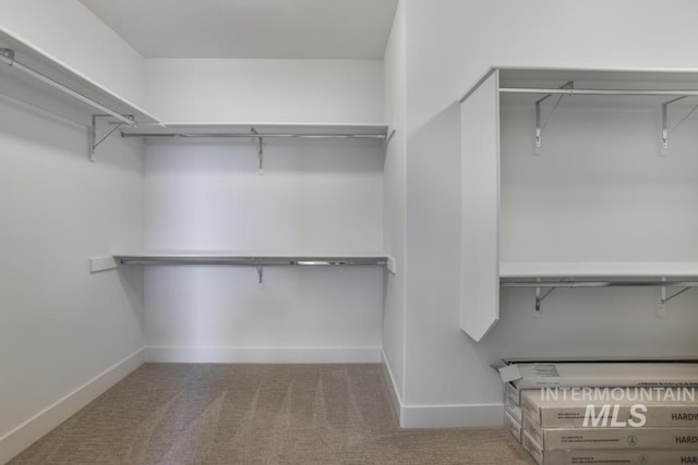 2252 Detweiler Pl, Twin Falls, ID 83301 - walk in closet with carpet