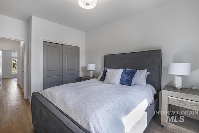 2252 Detweiler Pl, Twin Falls, ID 83301 - bedroom with a closet and wood finished floors