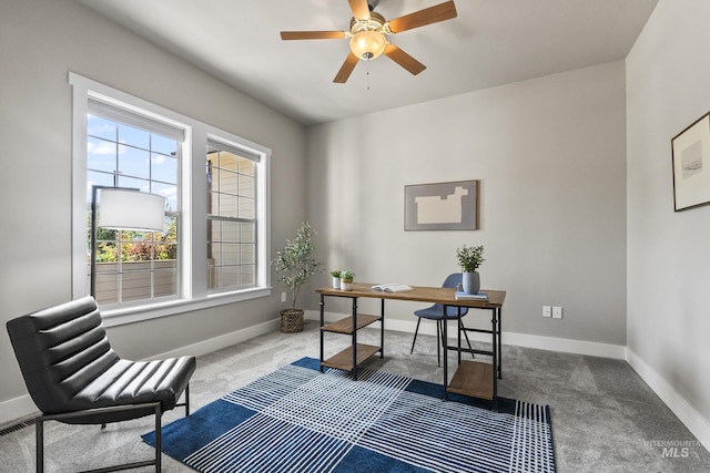 3924 E Forked Deer St, Boise, ID 83716 - office space with carpet flooring and ceiling fan
