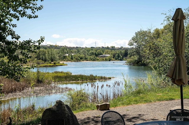 3924 E Forked Deer St, Boise, ID 83716 - water view