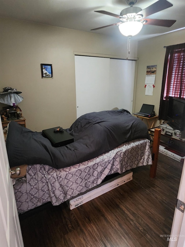 bedroom featuring ceiling fan, a closet, and wood finished floors