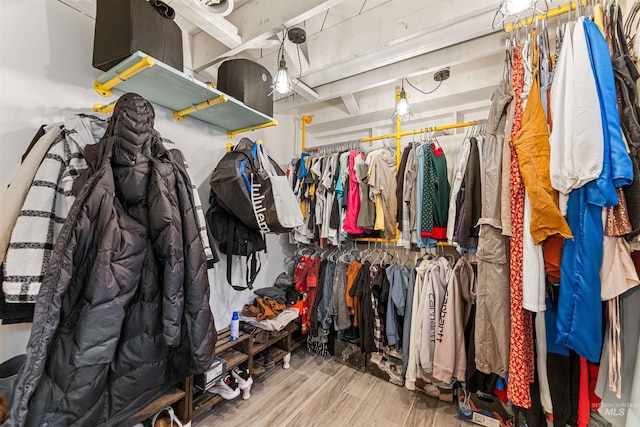 spacious closet featuring wood-type flooring