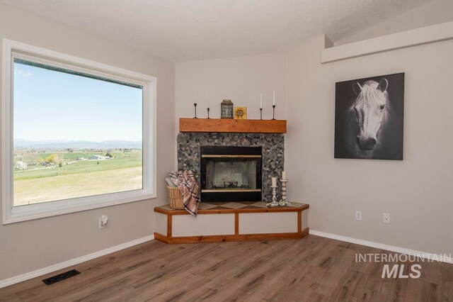 living room with lofted ceiling, hardwood / wood-style floors, and a fireplace