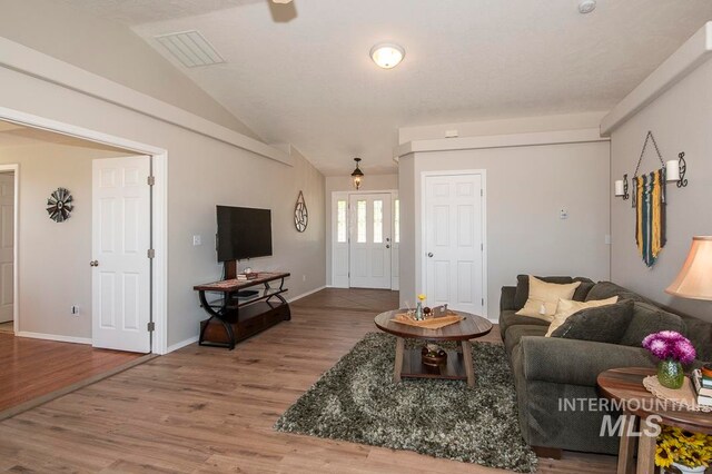 living room with lofted ceiling and wood-type flooring