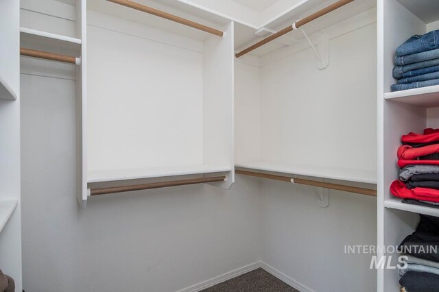 spacious closet featuring carpet