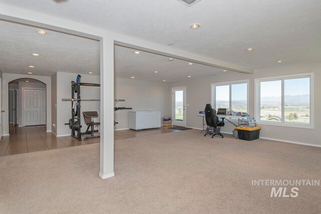 exercise area with carpet floors and a textured ceiling