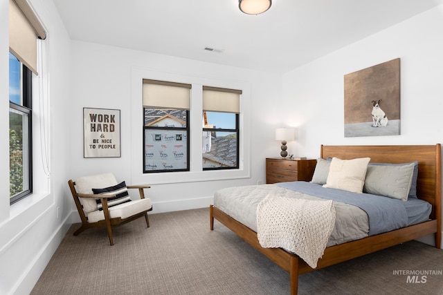 bedroom with carpet flooring