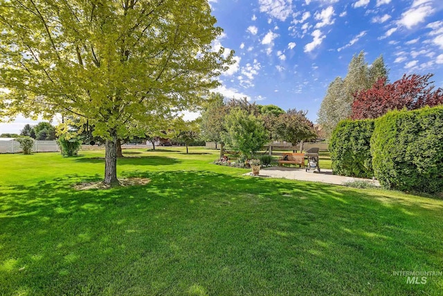 view of yard with a patio