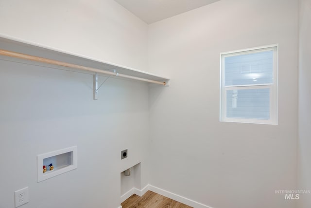 laundry area featuring washer hookup, hookup for an electric dryer, and light hardwood / wood-style floors