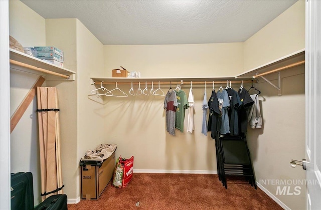 1207 Empire Ct, Caldwell, ID 83607 - walk in closet with carpet