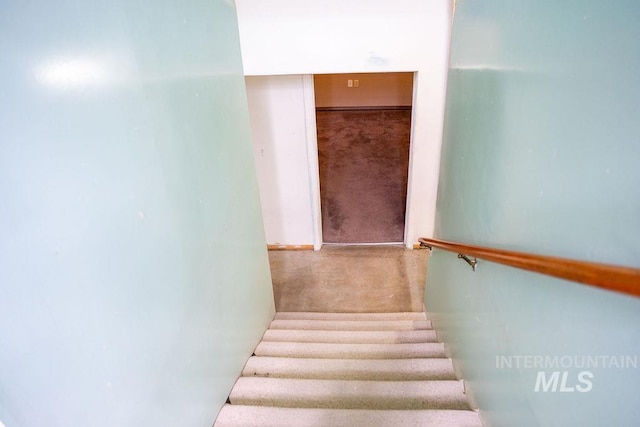 1114 12th Ave, Lewiston, ID 83501 - stairs featuring carpet flooring