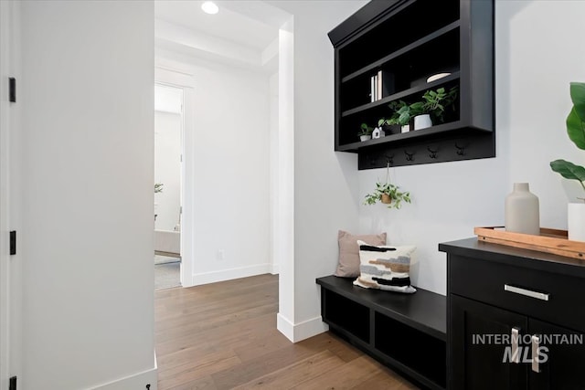 bar featuring a raised ceiling, light wood finished floors, baseboards, and recessed lighting