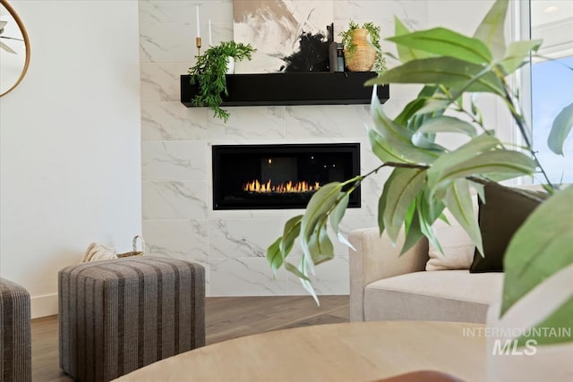 room details with a premium fireplace and wood finished floors