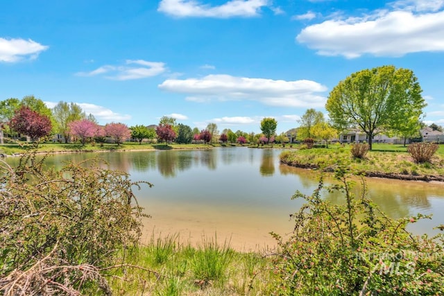855 N Morley Green Pl, Eagle, ID 83616 - water view