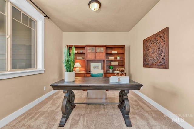 855 N Morley Green Pl, Eagle, ID 83616 - office space with carpet flooring and baseboards