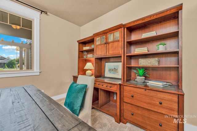 855 N Morley Green Pl, Eagle, ID 83616 - carpeted office featuring baseboards