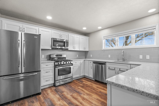 kitchen featuring stainless steel appliances, dark wood-type flooring, a sink, and tasteful backsplash