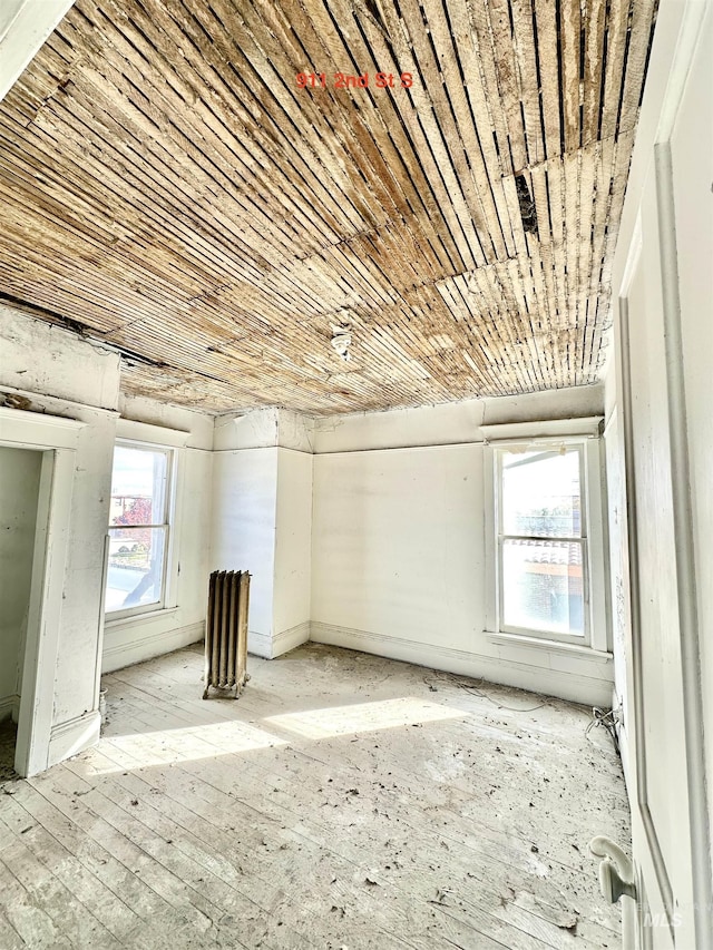 spare room with a healthy amount of sunlight and wood ceiling