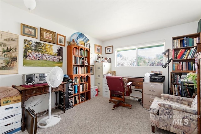 23743 Viking Ln, Wilder, ID 83676 - view of carpeted office space