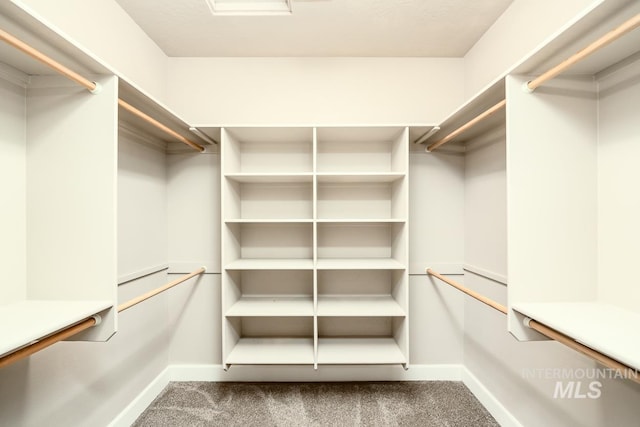 spacious closet with dark colored carpet