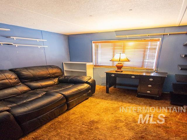 carpeted living room featuring a wealth of natural light and a textured ceiling