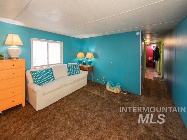 living room with dark colored carpet