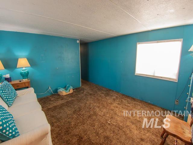 living room featuring carpet flooring and a textured ceiling