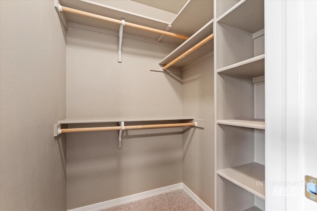 view of spacious closet